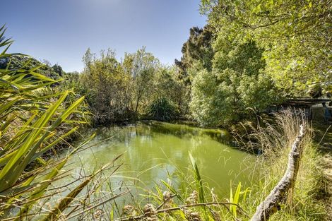 Photo of property in 384 Dartmoor Road, Puketapu, Napier, 4186