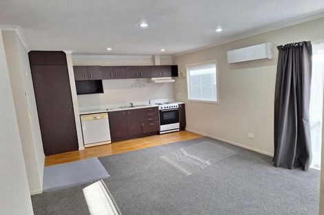 Photo of property in 15b Korimako Street, Frankton, Hamilton, 3204