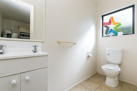 Photo of property in 4a Myrtle Crescent, Mount Cook, Wellington, 6021