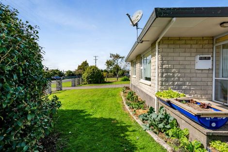 Photo of property in 227 Pembroke Road, Pembroke, Stratford, 4391