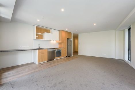 Photo of property in Vsp South, 206/168u Victoria Street, Te Aro, Wellington, 6011