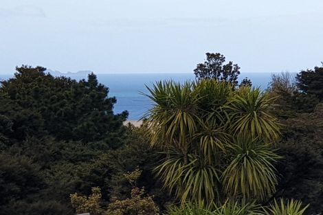 Photo of property in 15 Puriri Place, Tuateawa, Coromandel, 3583