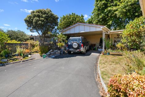 Photo of property in 145a Ruahine Street, Roslyn, Palmerston North, 4414