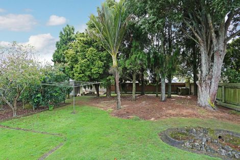Photo of property in 8 Elizabeth Street, Tuakau, 2121