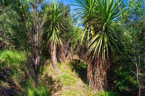 Photo of property in 134 Cames Road, Mangawhai, 0975