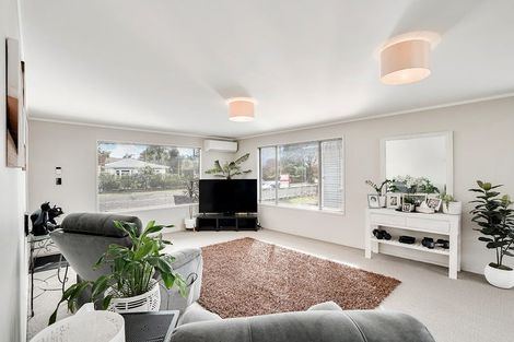 Photo of property in 3 Hall Lane, Frankton, Hamilton, 3204
