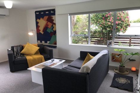 Photo of property in 66 Brunswick Street, Hutt Central, Lower Hutt, 5010