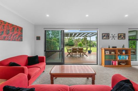 Photo of property in 37 Kahurangi Lane, Mangawhai, Kaiwaka, 0573
