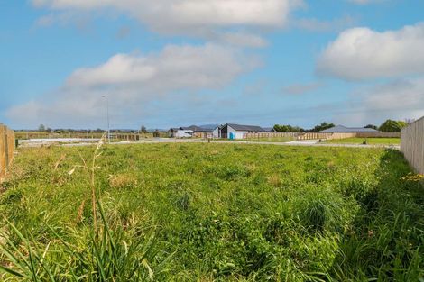 Photo of property in 58 Greig Crescent, Amberley, 7481