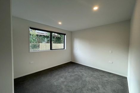 Photo of property in 45a Hillier Place, Spreydon, Christchurch, 8024