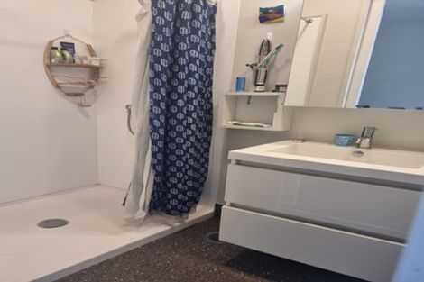 Photo of property in Aniva Terrace, 12 Arney Street, Newtown, Wellington, 6021