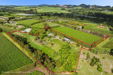 Photo of property in 575 No 2 Road, Te Puke, 3182