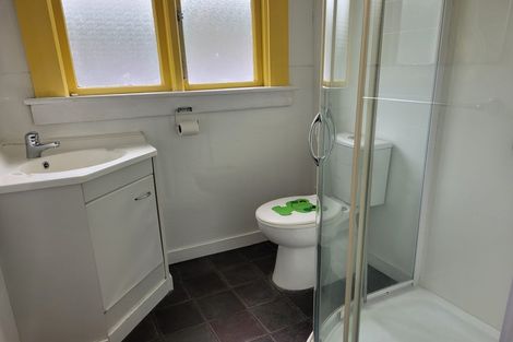 Photo of property in 20 Malvern Street, Woodhaugh, Dunedin, 9010