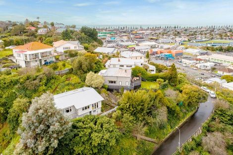 Photo of property in 4 Guys Hill Road, Hospital Hill, Napier, 4110