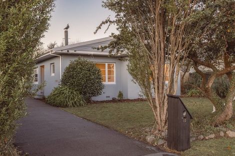Photo of property in 12 Jameson Avenue, St Albans, Christchurch, 8052