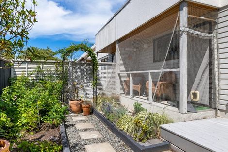 Photo of property in 223a Redwood Street, Witherlea, Blenheim, 7201