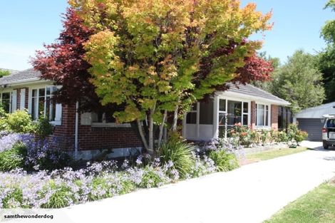 Photo of property in 21 Spurway Place, Mairehau, Christchurch, 8013