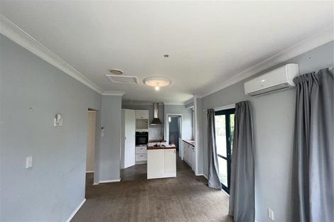 Photo of property in 48 Mabel Street, Levin, 5510