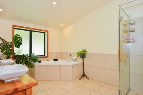 Photo of property in 406 Matokitoki Valley Road, Matokitoki, Gisborne, 4071