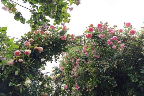 Photo of property in 37 Gillies Crescent, Waimarama, Havelock North, 4294