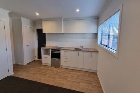 Photo of property in 164u5 Killarney Road, Frankton, Hamilton, 3204