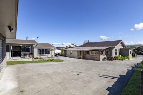 Photo of property in 39 Racecourse Road, Waipukurau, 4200