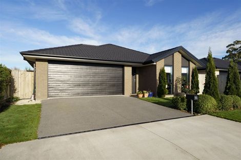 Photo of property in 34 Minerva Crescent, Woodend, 7610
