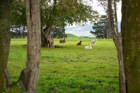 Photo of property in 141 Valley Road, Woodville, 4998
