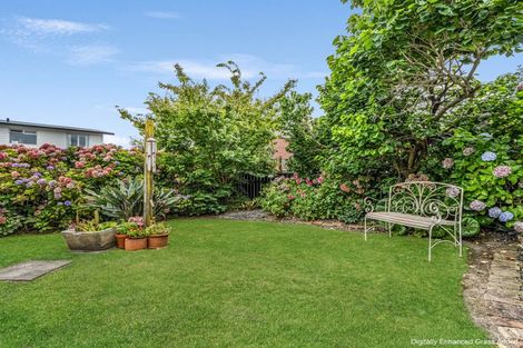 Photo of property in 64a James Street, Whakatane, 3120