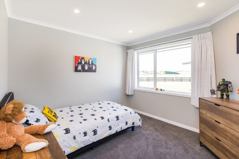 Photo of property in 467 Lees Road, Feilding, 4775