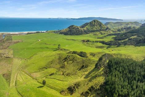 Photo of property in 550 Black Jack Road, Opito Bay, Whitianga, 3592