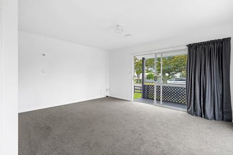 Photo of property in 9 Guy Avenue, Levin, 5510