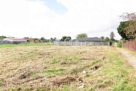 Photo of property in 4 Rata Place, Wairoa, 4108