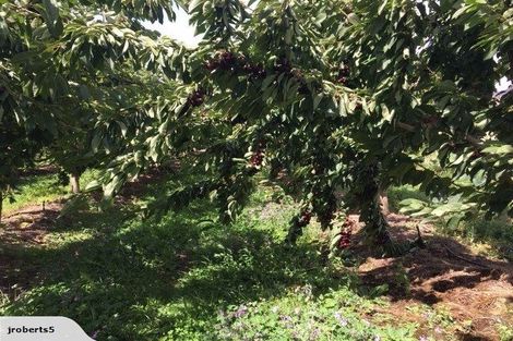 Photo of property in 66 Gladsmuir Road, Queensberry, Cromwell, 9383