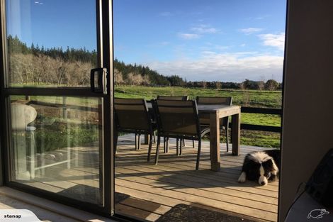 Photo of property in 255 Ararimu Valley Road, Helensville, Waimauku, 0882