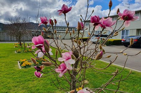 Photo of property in 19 Fire Station Lane, Trentham, Upper Hutt, 5018
