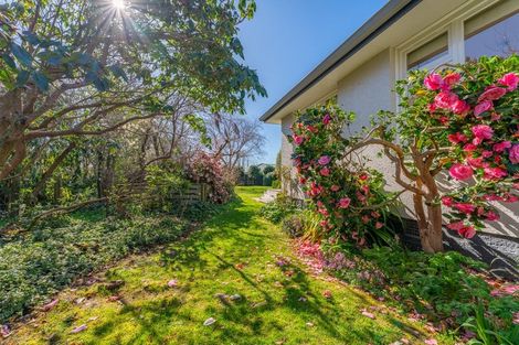 Photo of property in 41 Connolly Street, Geraldine, 7930