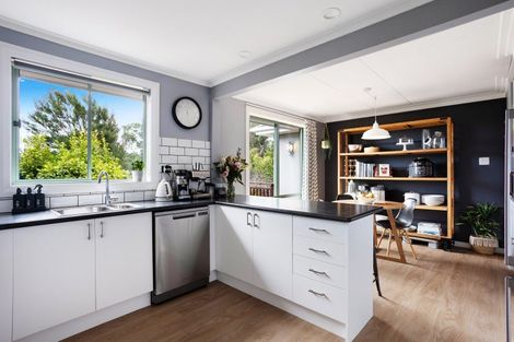 Photo of property in 50 Every Street, Andersons Bay, Dunedin, 9013