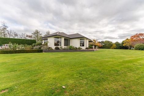 Photo of property in 398 Pages Road, Gleniti, Timaru, 7974