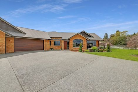 Photo of property in 681 Beechey Street, Pirongia, 3802