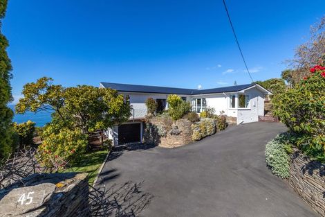 Photo of property in 45 Aberdeen Road, Saint Clair, Dunedin, 9012