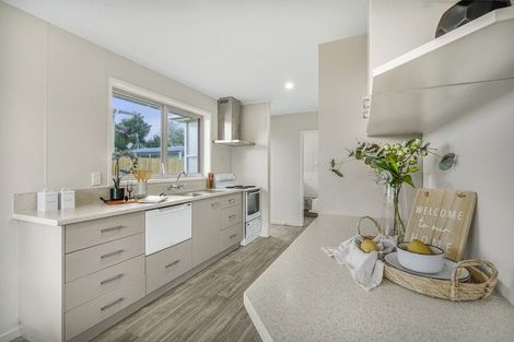 Photo of property in 10 Egmont Street, Chartwell, Hamilton, 3210
