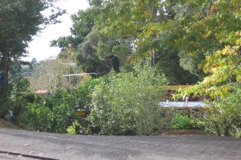 Photo of property in 45 Daffodil Street, Titirangi, Auckland, 0604