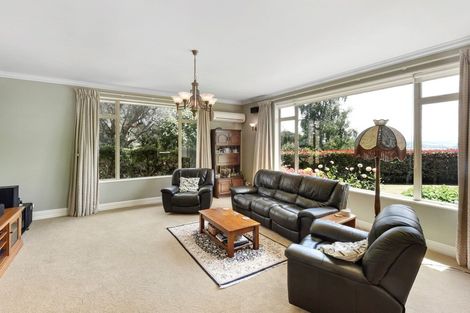 Photo of property in 17 Hillplough Heights, Richmond, 7020