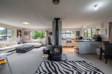 Photo of property in 38 Tararua Street, Pahiatua, 4910