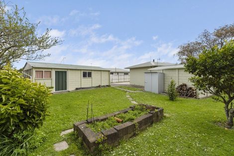 Photo of property in 11 Windsor Street, Terrace End, Palmerston North, 4410