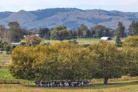 Photo of property in 59 Parallel Road, Cambridge, 3495