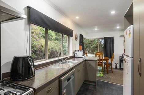 Photo of property in 91 Buckley Road, Shannon, Palmerston North, 4474