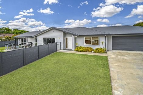Photo of property in 902 Florence Street, Raureka, Hastings, 4120