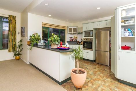 Photo of property in 17 Paramu Place, Richmond, 7020